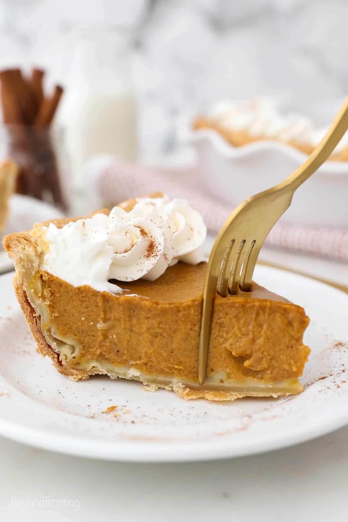 Warm slice of homemade pumpkin pie on a plate with a fork