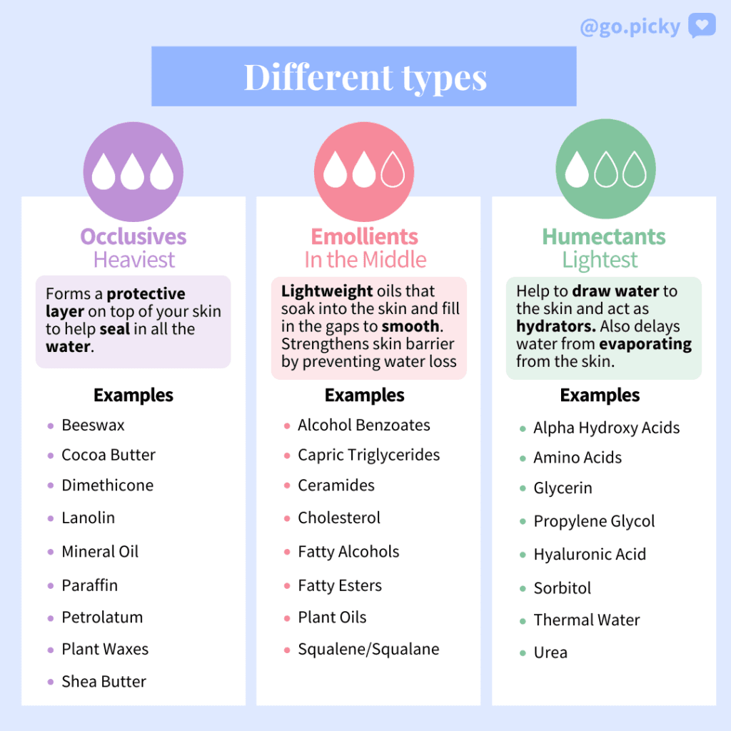collection of different moisturizer types