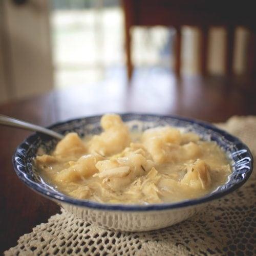 Hearty old-fashioned chicken dumpling stew in a rustic bowl, steaming
