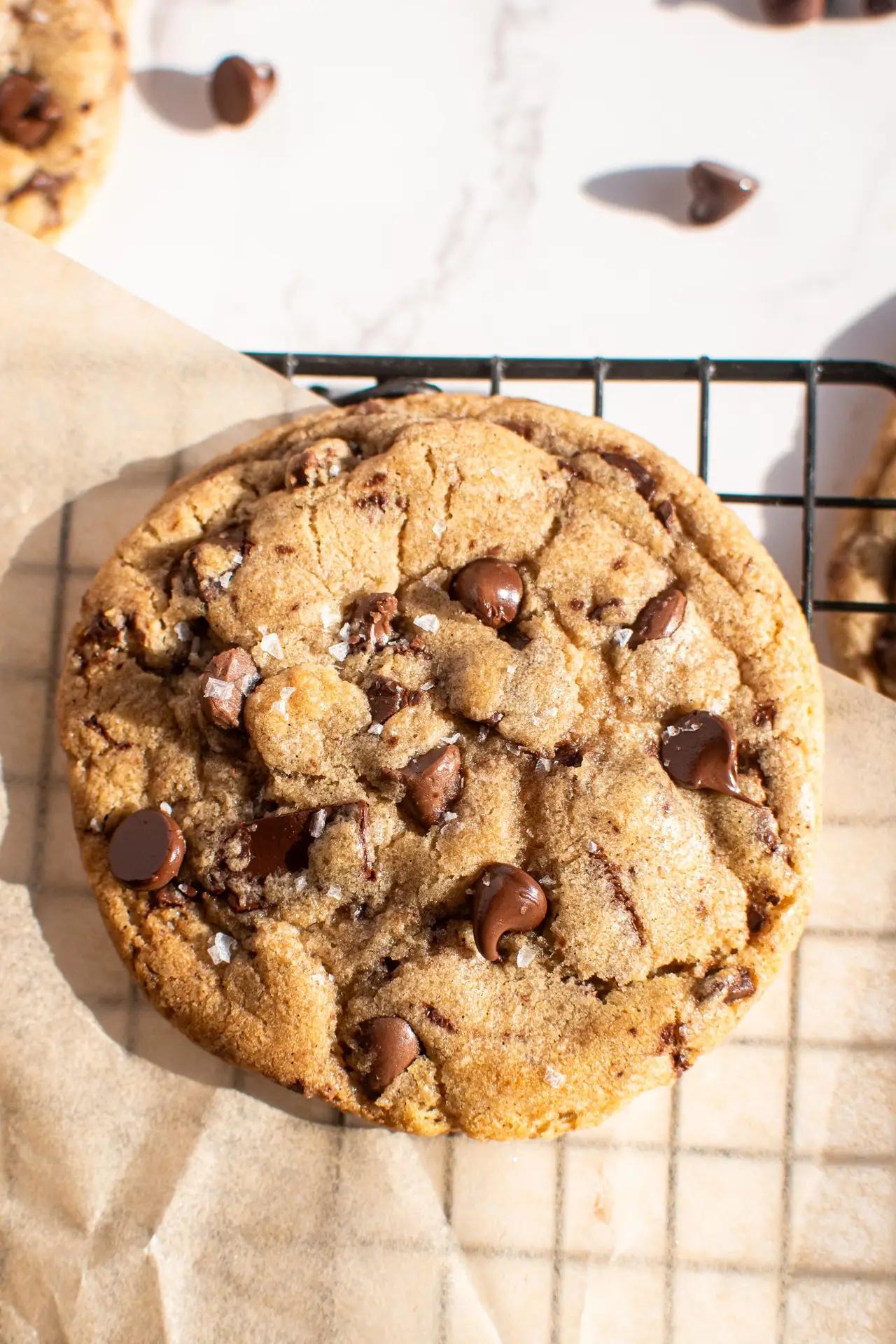 close-up of freshly baked chocolate chip cookies
