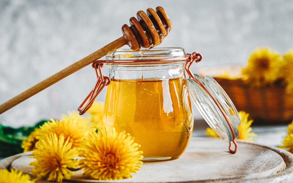 close up of ingredients for dandelion honey dew lassi - dandelions, yogurt, ginger, honey