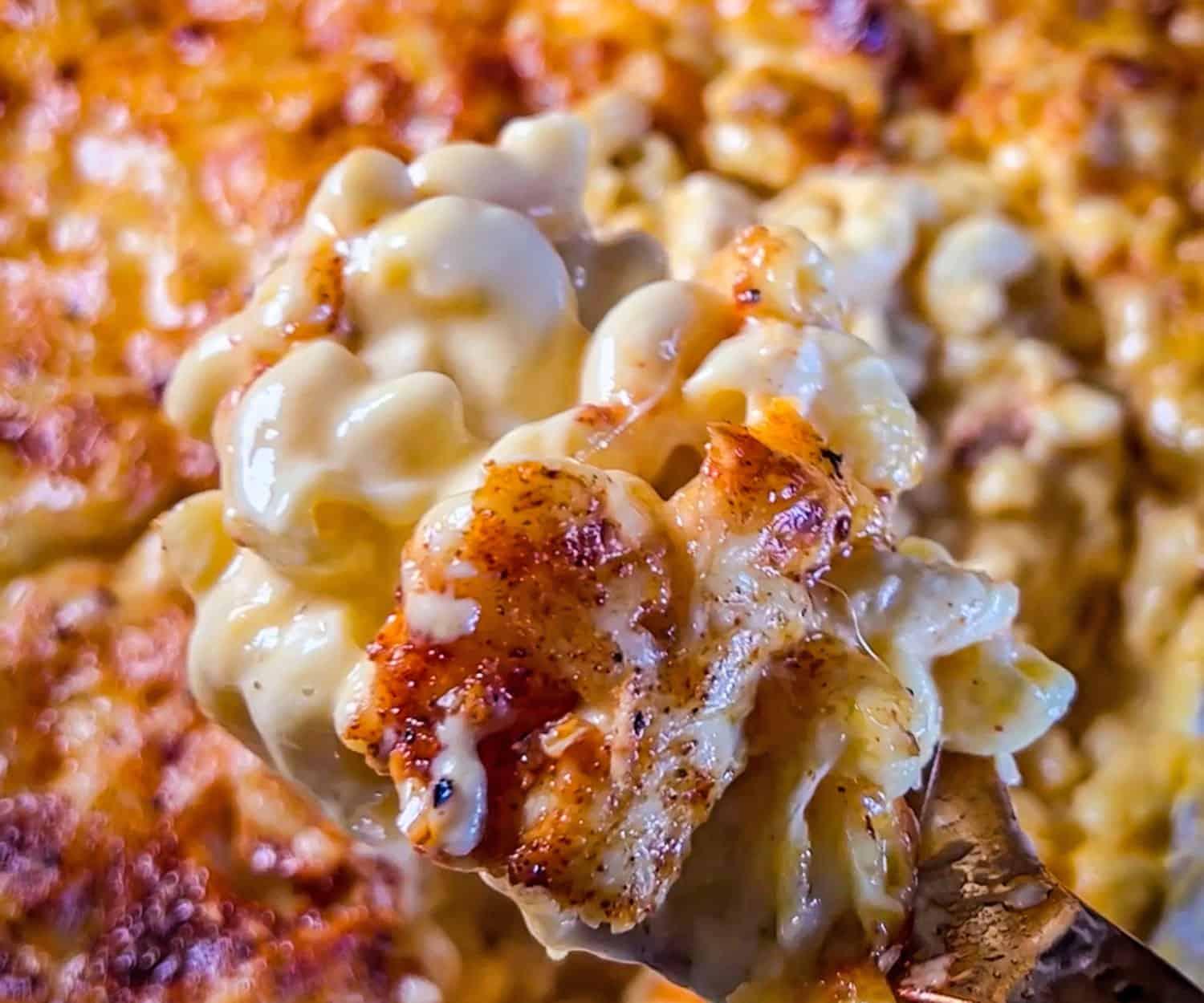 close up shot of bubbling mac and cheese with bacon over a campfire