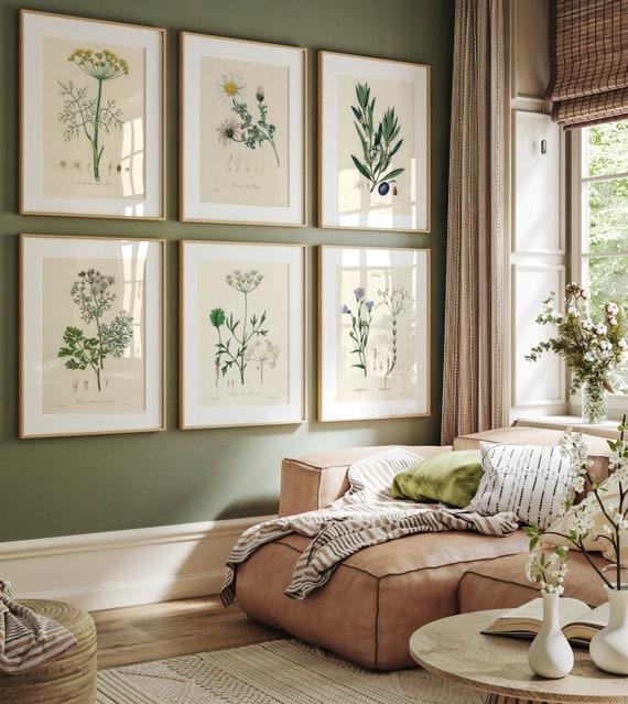 botanical prints on a wall