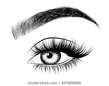 drawing of eyes with detailed eyebrows and eyelashes