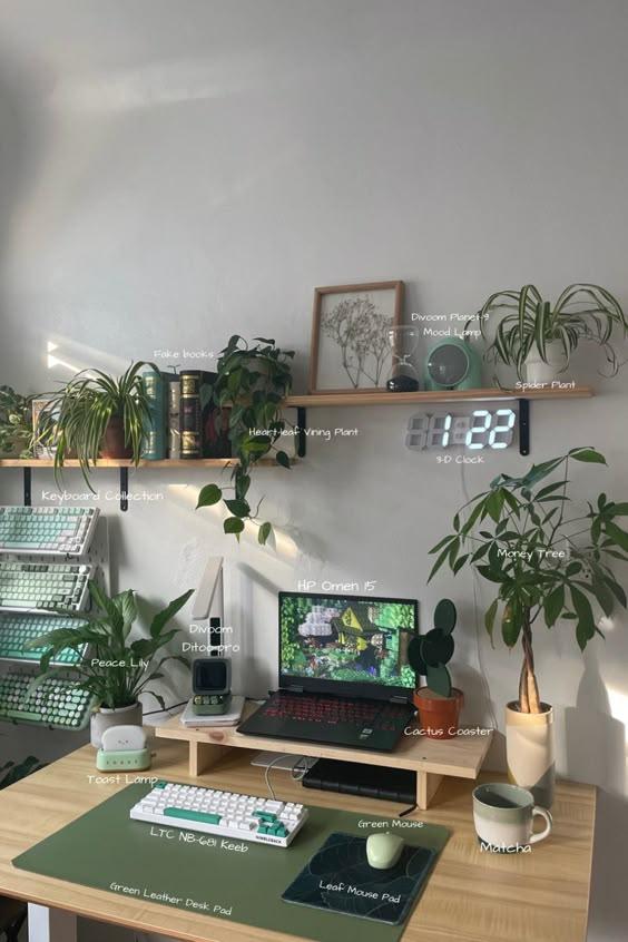 dorm desk with personal touches like photos, plants, and artwork