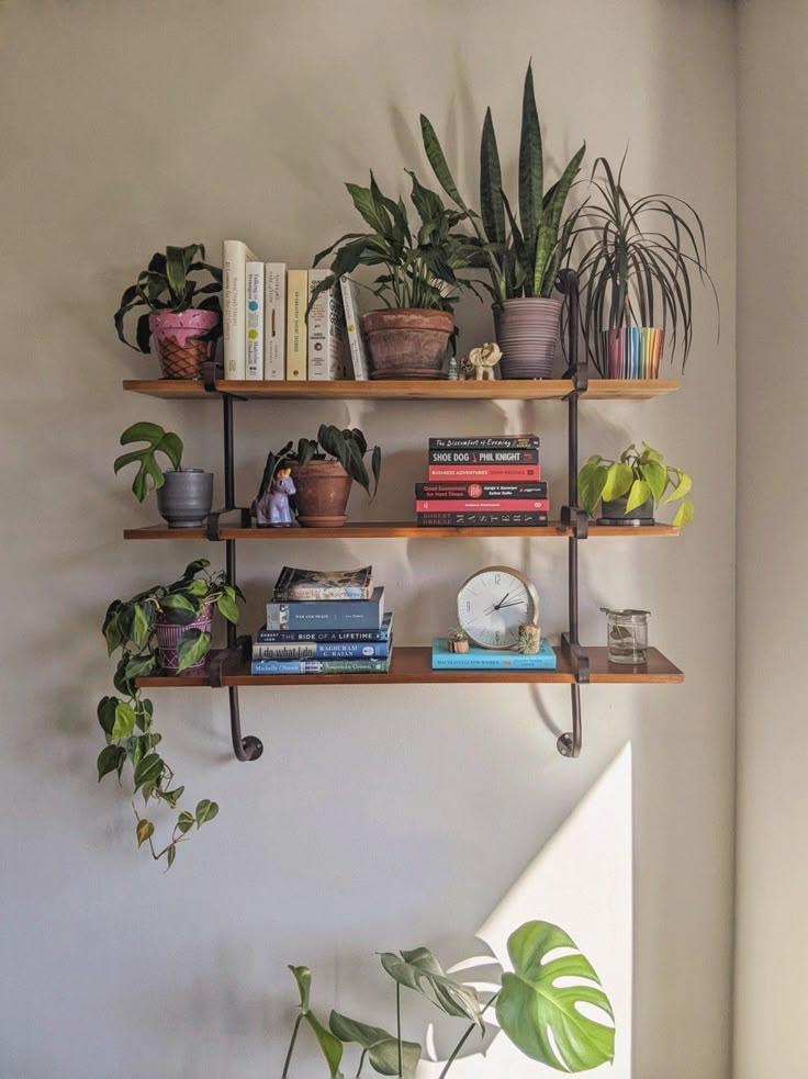 floating shelves with plants and books