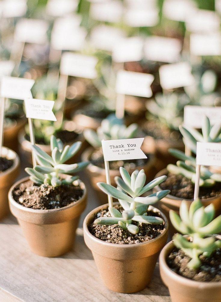 small potted plants used as party favors