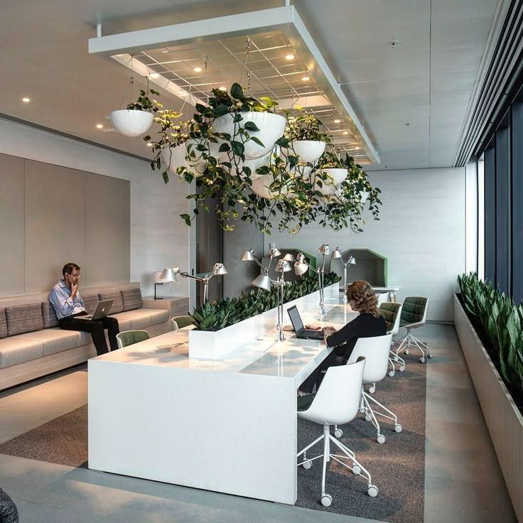office interior with calming green