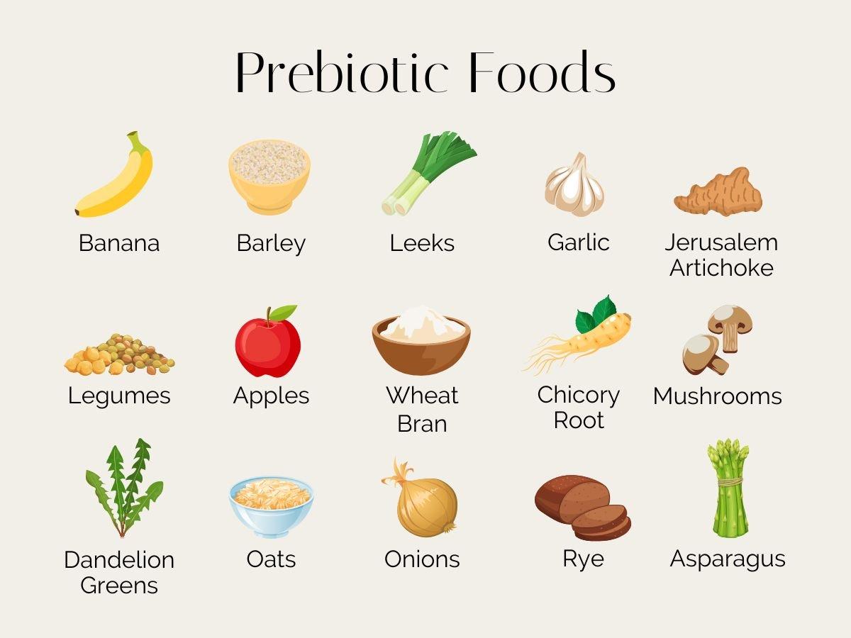 foods rich in prebiotics
