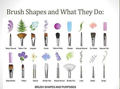 various nail brush shapes and sizes