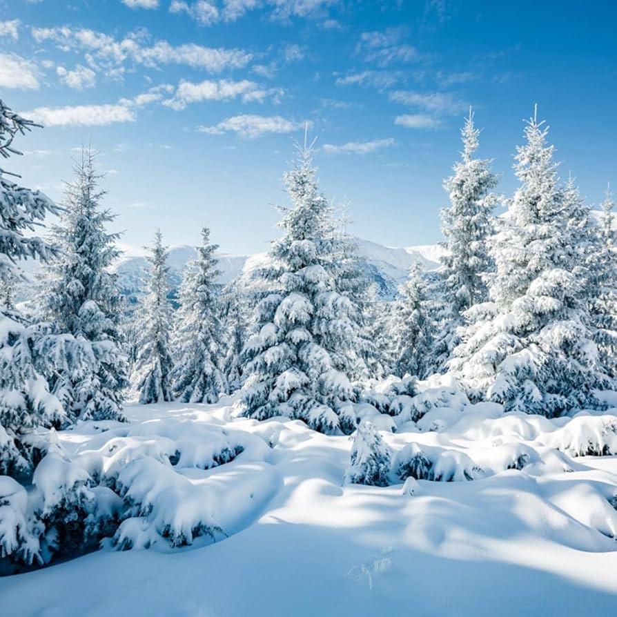 snowy backyard winter scene photography