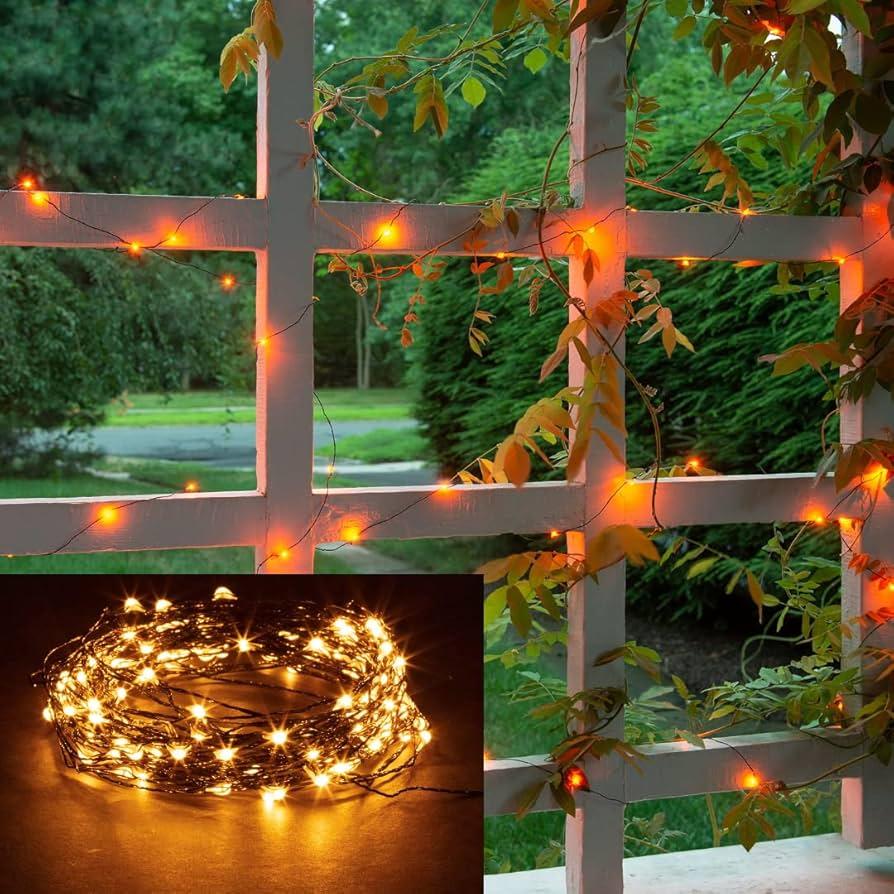 Fairy lights and string lights decorating a travel party