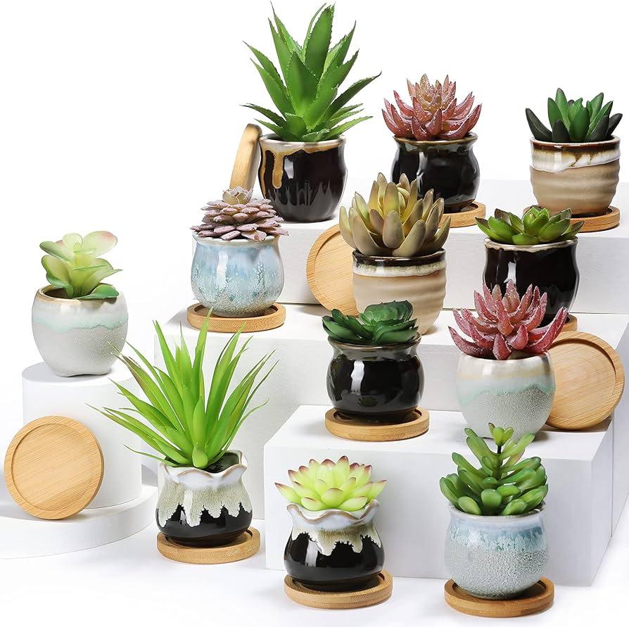 small ceramic planter with succulent