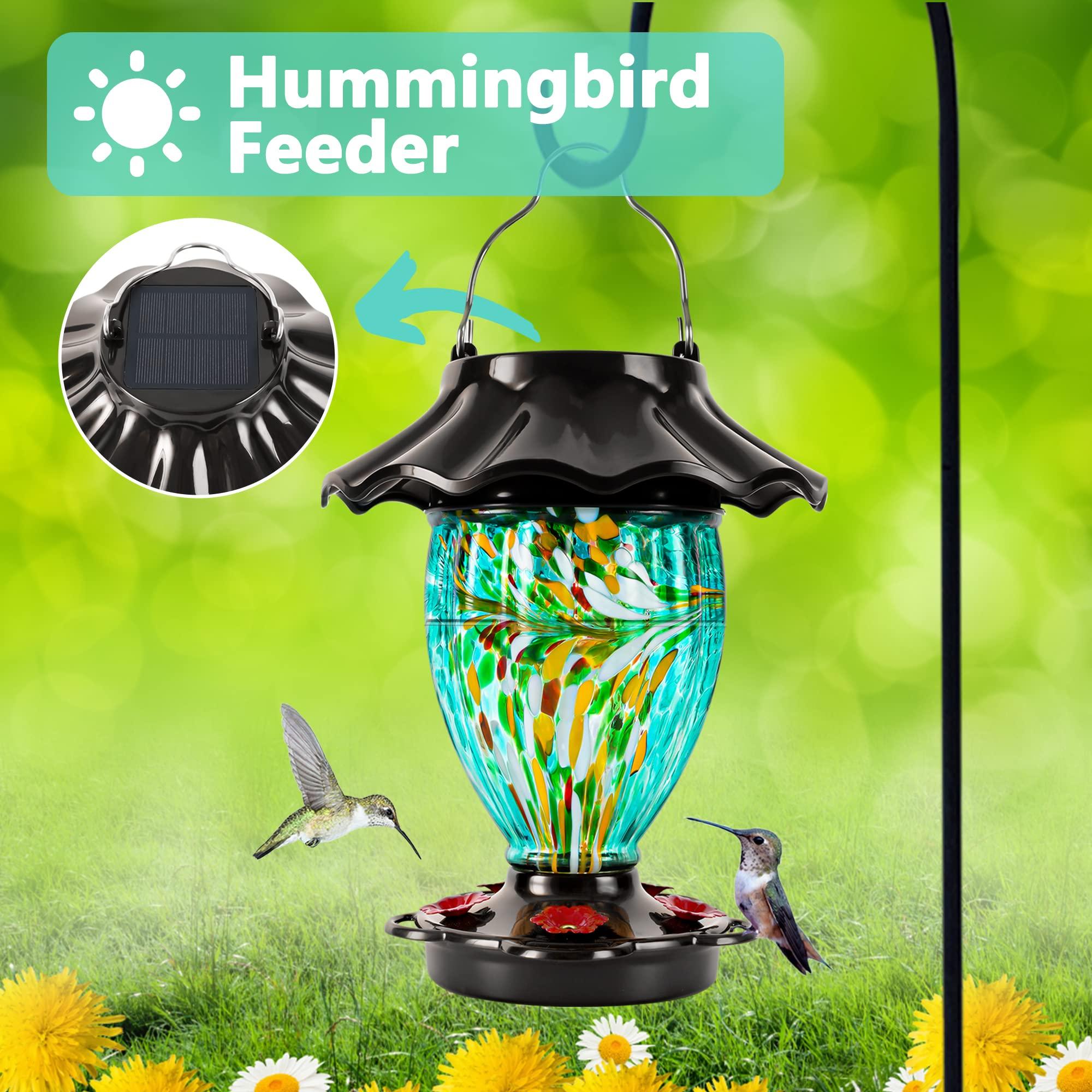 sunlit hummingbird feeder with a hummingbird drinking