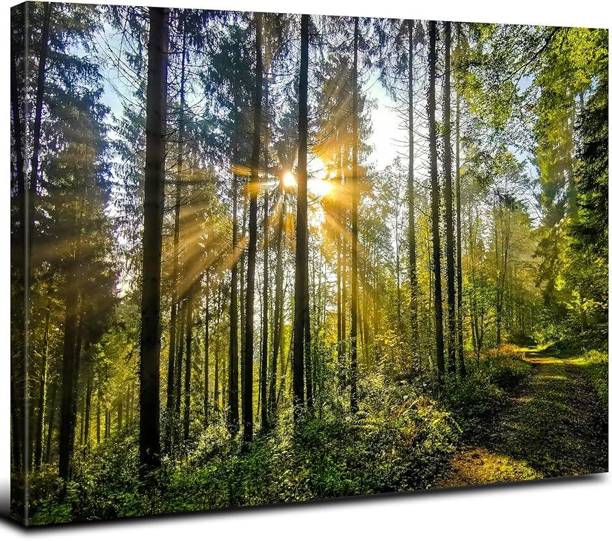 calm nature scene poster dorm room