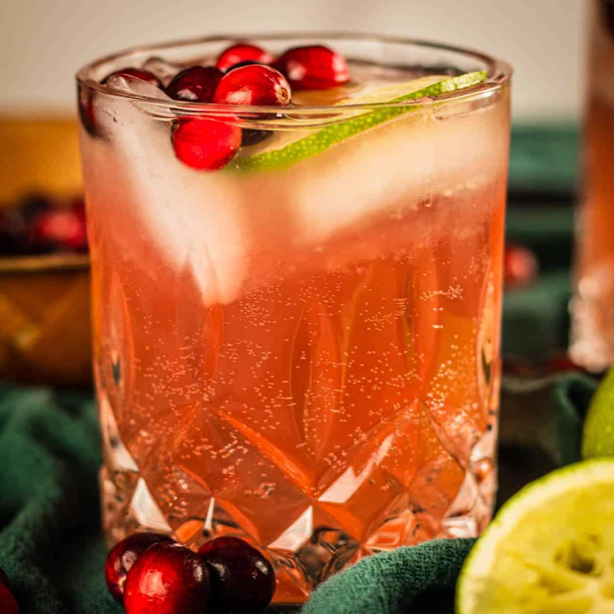 close-up of a frosty cranberry mule with lime slices and fresh cranberries