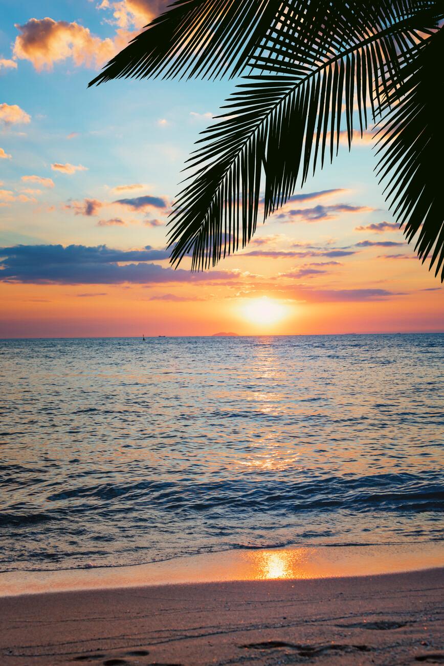 sunset at the beach