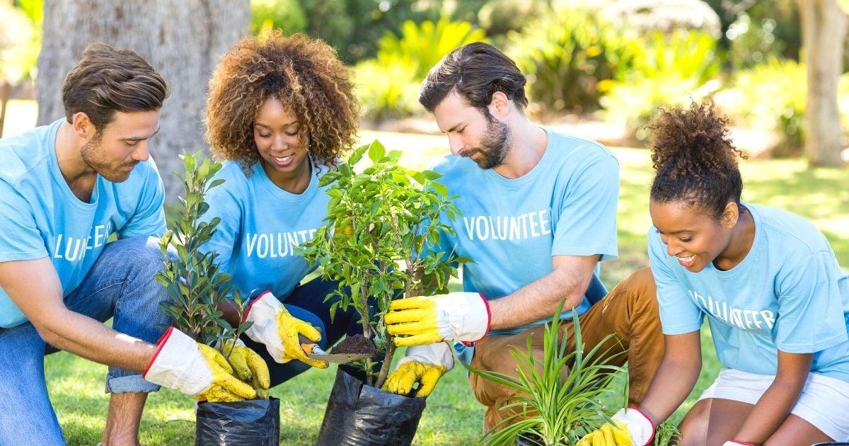 person volunteering at a community event