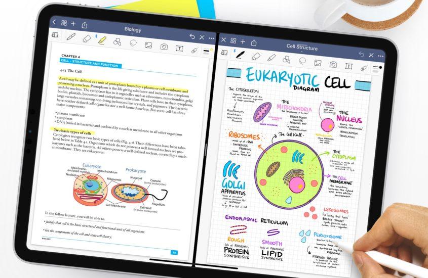 examples of organized digital notes with tags and multimedia