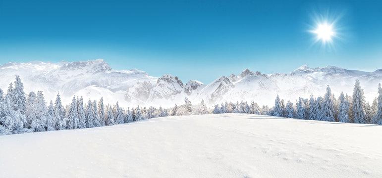snow covered landscape photography
