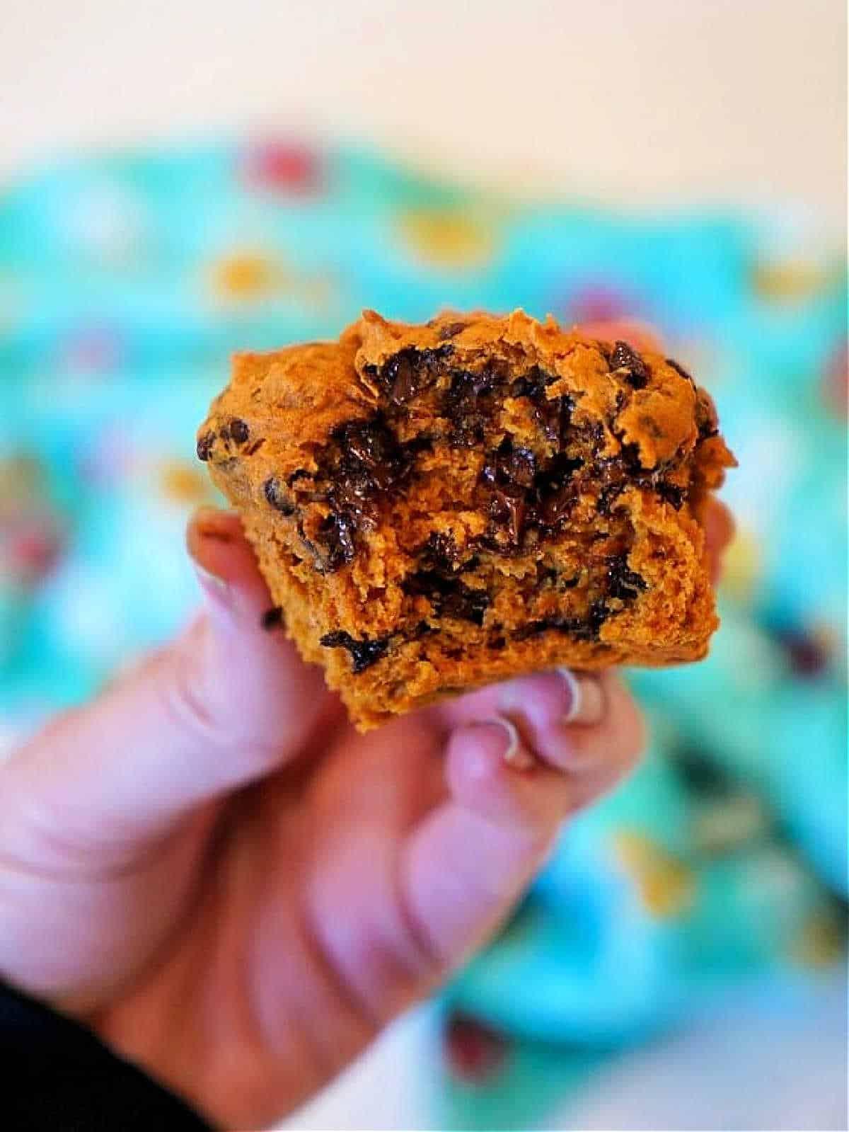 a person holding a pumpkin muffin with chocolate chips
