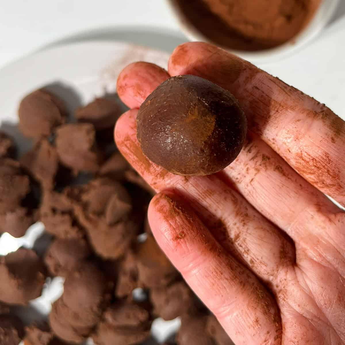 Hands rolling chocolate truffle mixture into balls, then dusting with cocoa