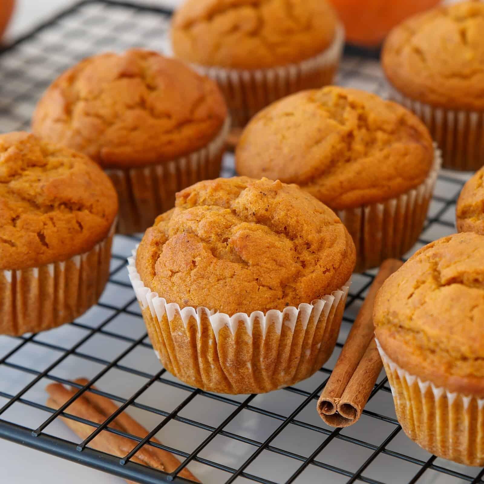 a batch of warm pumpkin muffins cooling on a wire rack