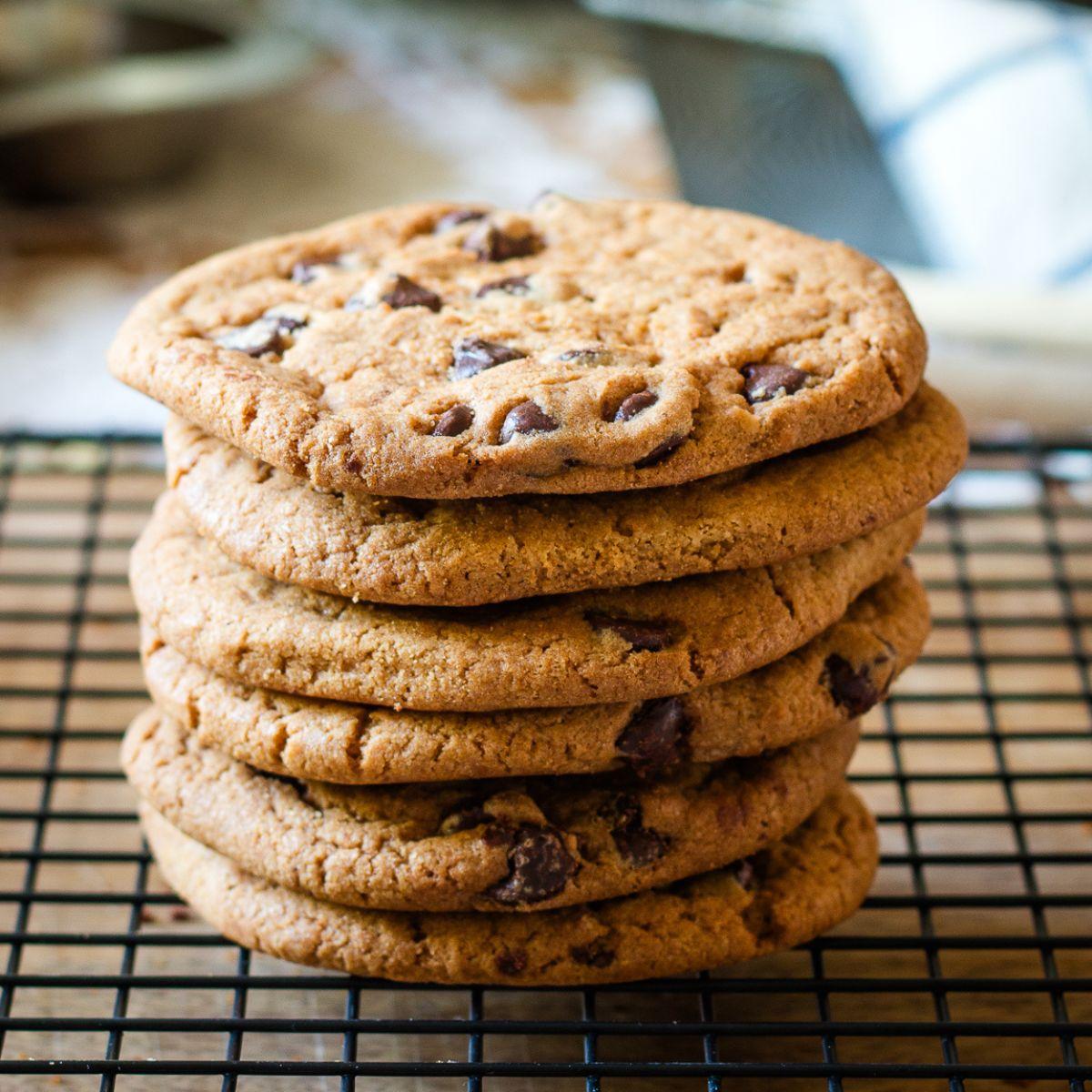 stack of plain baked chewy chocolate cookies on a cooling rack
