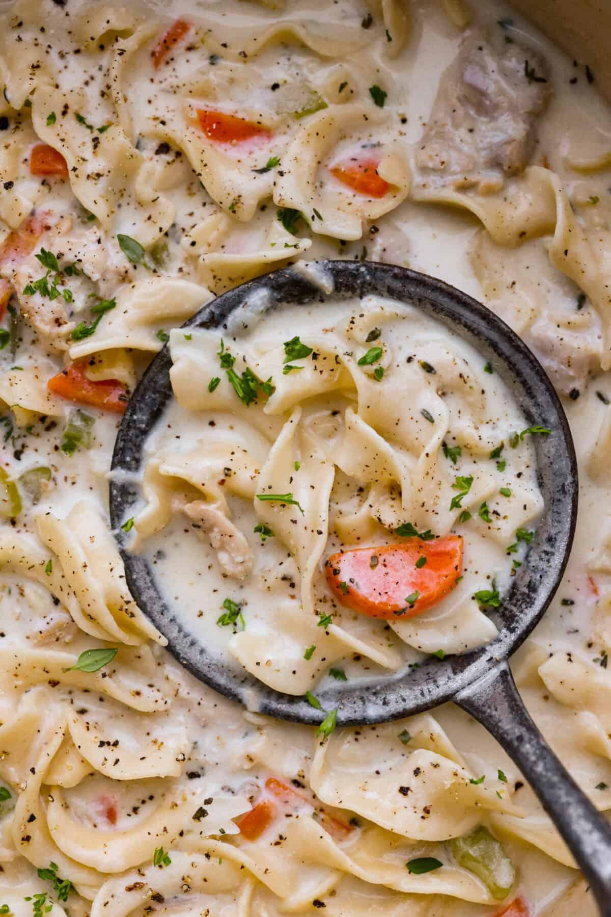 close-up of tender chicken pieces and wide noodles in a creamy broth