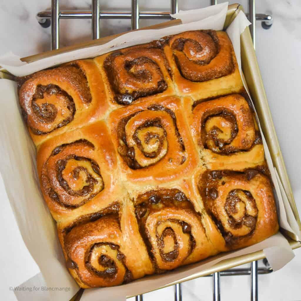Overhead shot of a full pan of freshly baked gooey cinnamon cookie squares, still warm