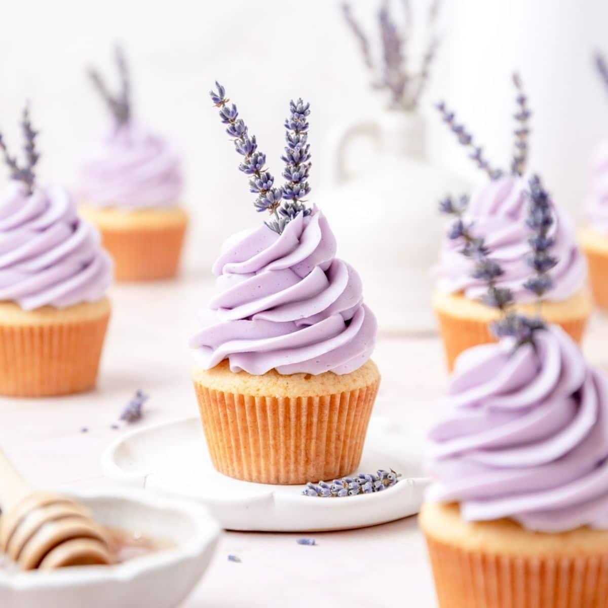 close-up shot of a honey lavender mini-cupcake with frosting swirls and lavender buds on top