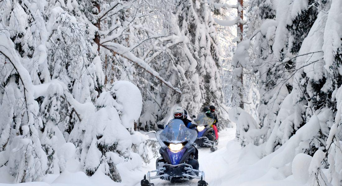 snowmobile tour in winter forest
