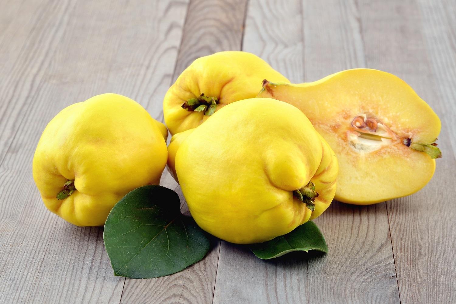 Quince protein tang being served in a rustic setting