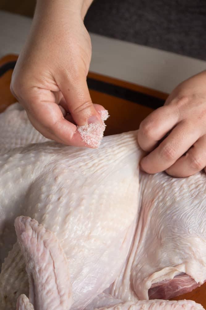Close-up of a hand applying a pepper rub to a raw turkey