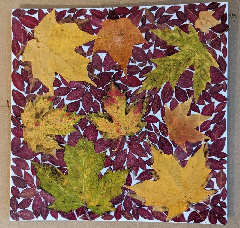 Leaf collage on a piece of canvas