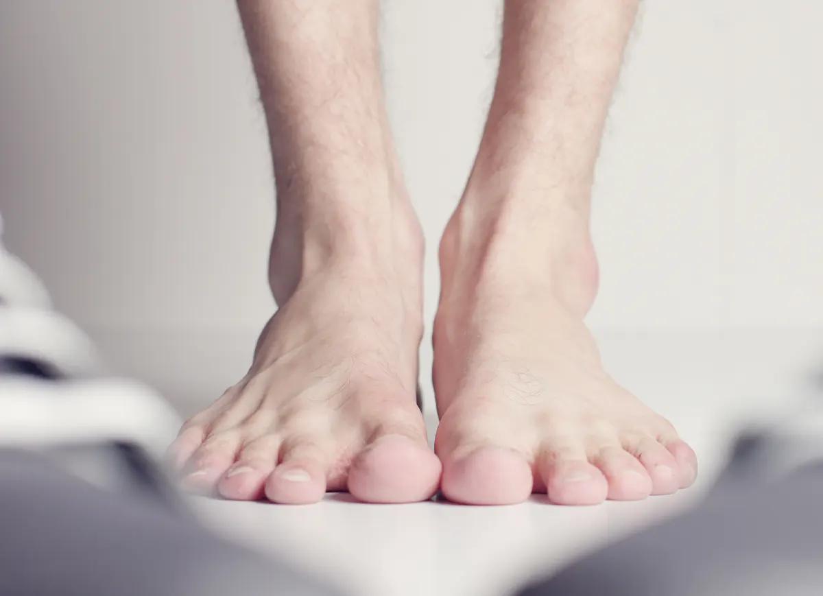 Close-up of different types of feet