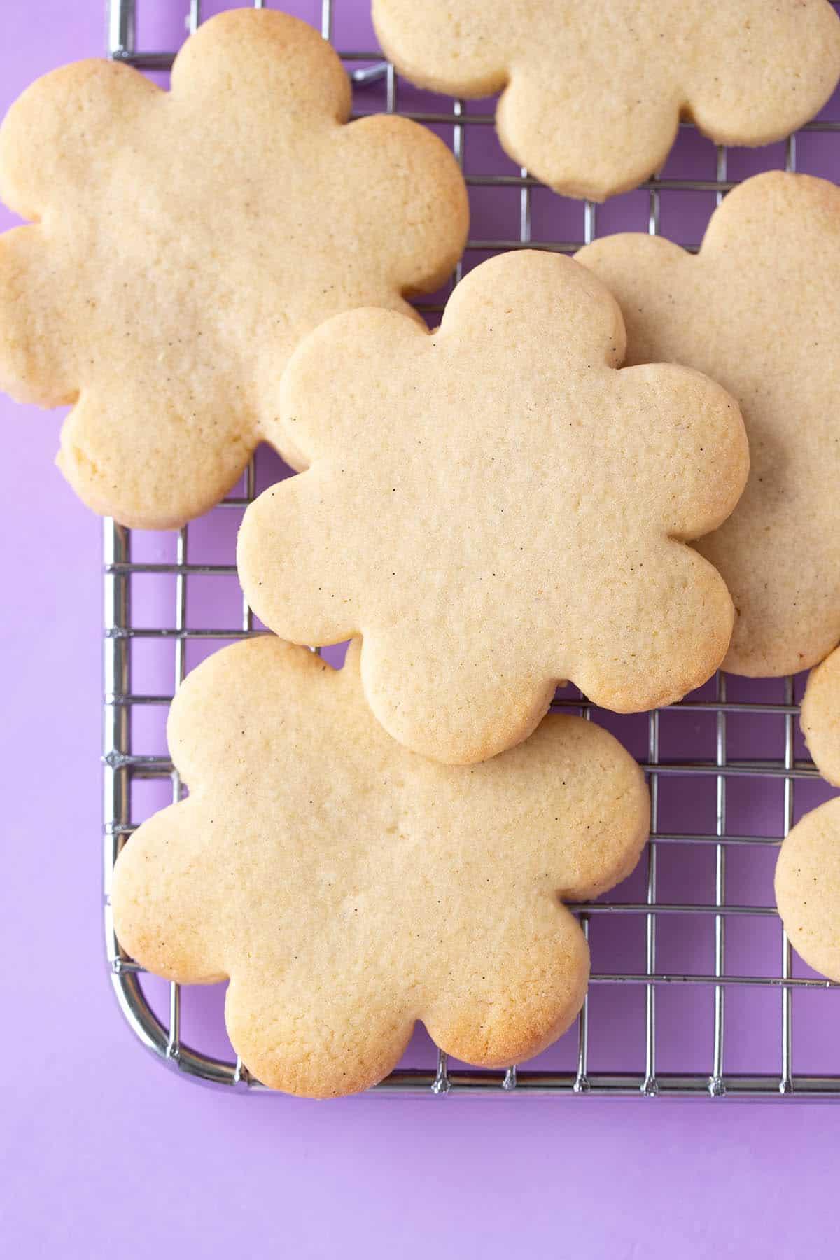 Close-up of a perfectly baked sugar cookie, golden edges, ready for glaze
