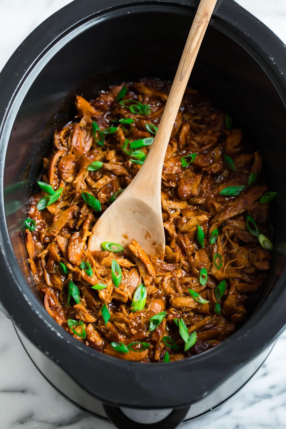 healthy crockpot meal being served