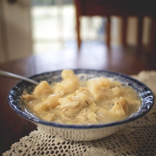 Hearty old-fashioned chicken dumpling stew in a rustic bowl, steaming