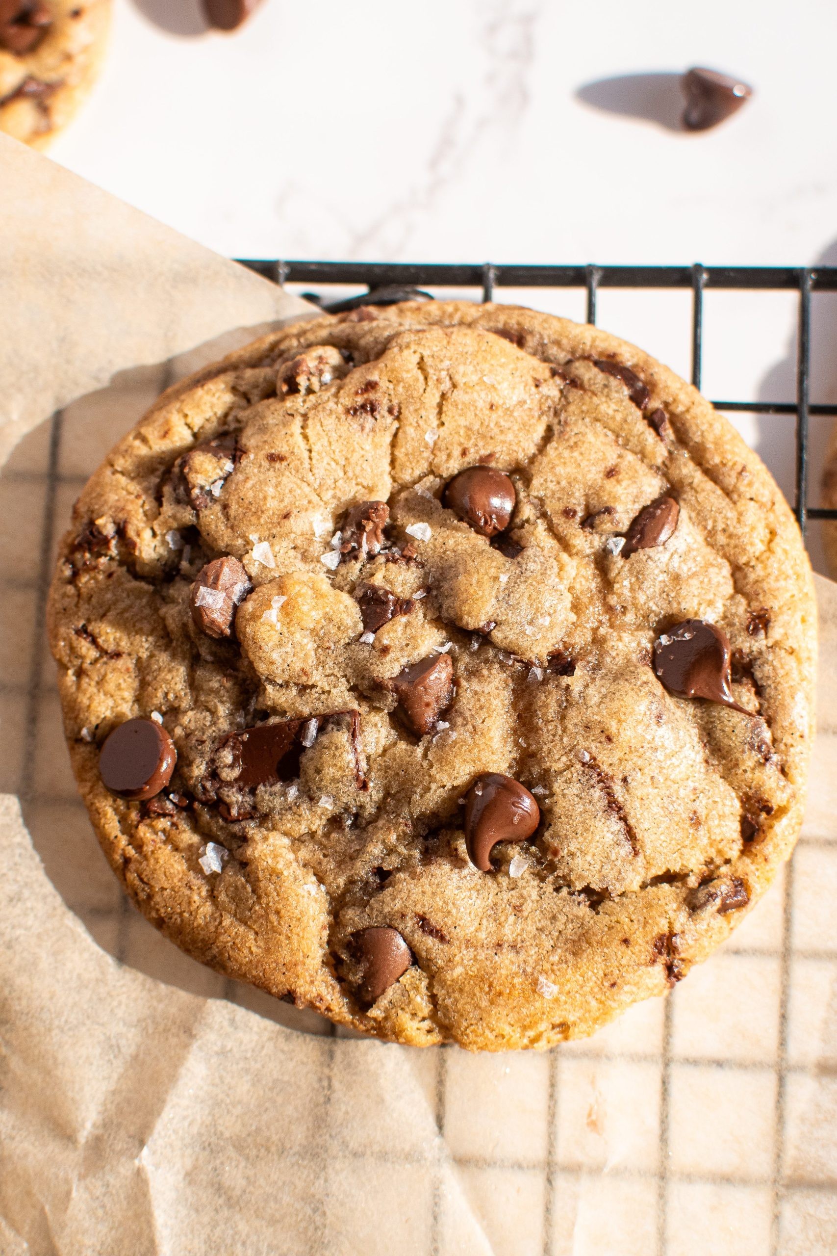 extremely gooey chocolate chip cookies fresh out of oven, close up, warm lighting