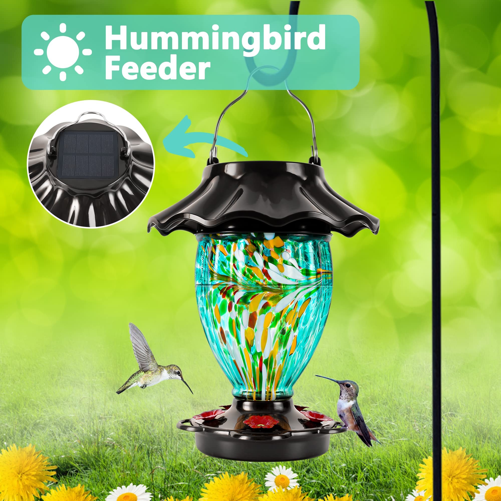sunlit hummingbird feeder with a hummingbird drinking