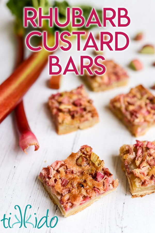 savory rhubarb custard bars