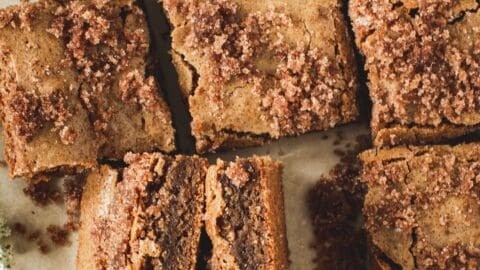 Delicious gooey cinnamon cookie squares on a cooling rack, close-up with cinnamon dust